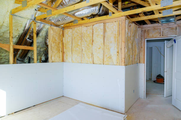 Best Professional Insulation Contractor  in Dimmitt, TX