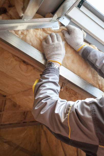 Best Commercial Insulation Contractor  in Dimmitt, TX