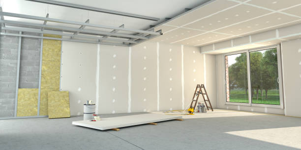 Best Insulation Replacement Services  in Dimmitt, TX